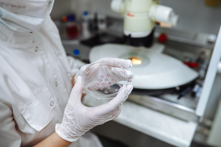 Biomedicina Invista em uma graduação de qualidade na São Judas