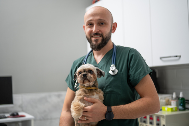 Medicina veterinária tudo o que você precisa saber