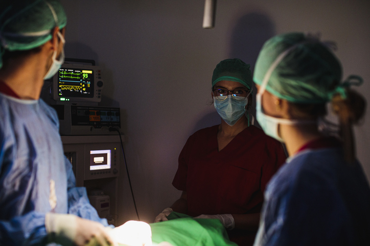 Cirurgia em Pequenos Animais