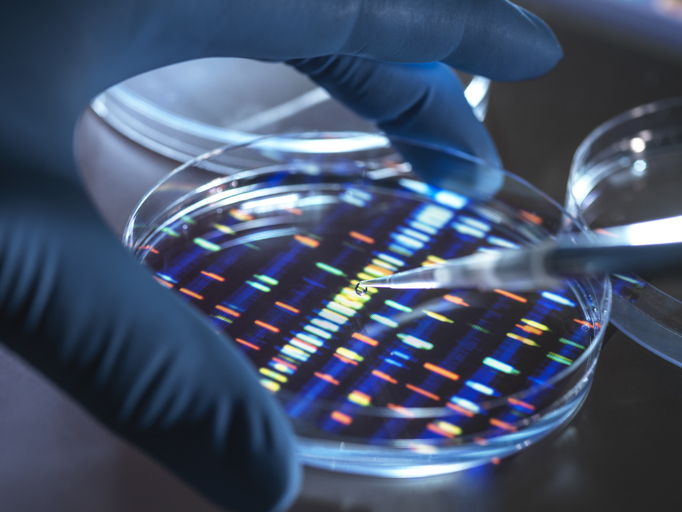 Genética humana como o biomédico atua no diagnóstico molecular