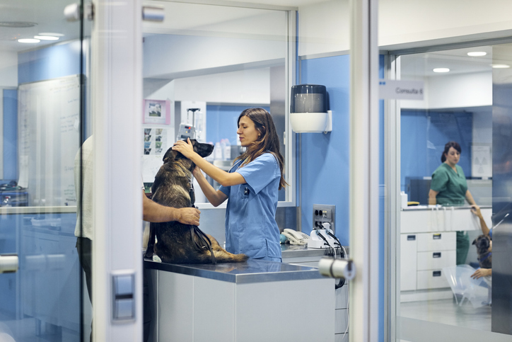 Medicina Veterinária