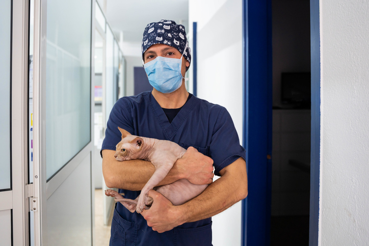 Como escolher a melhor Faculdade de Medicina Veterinária no RJ