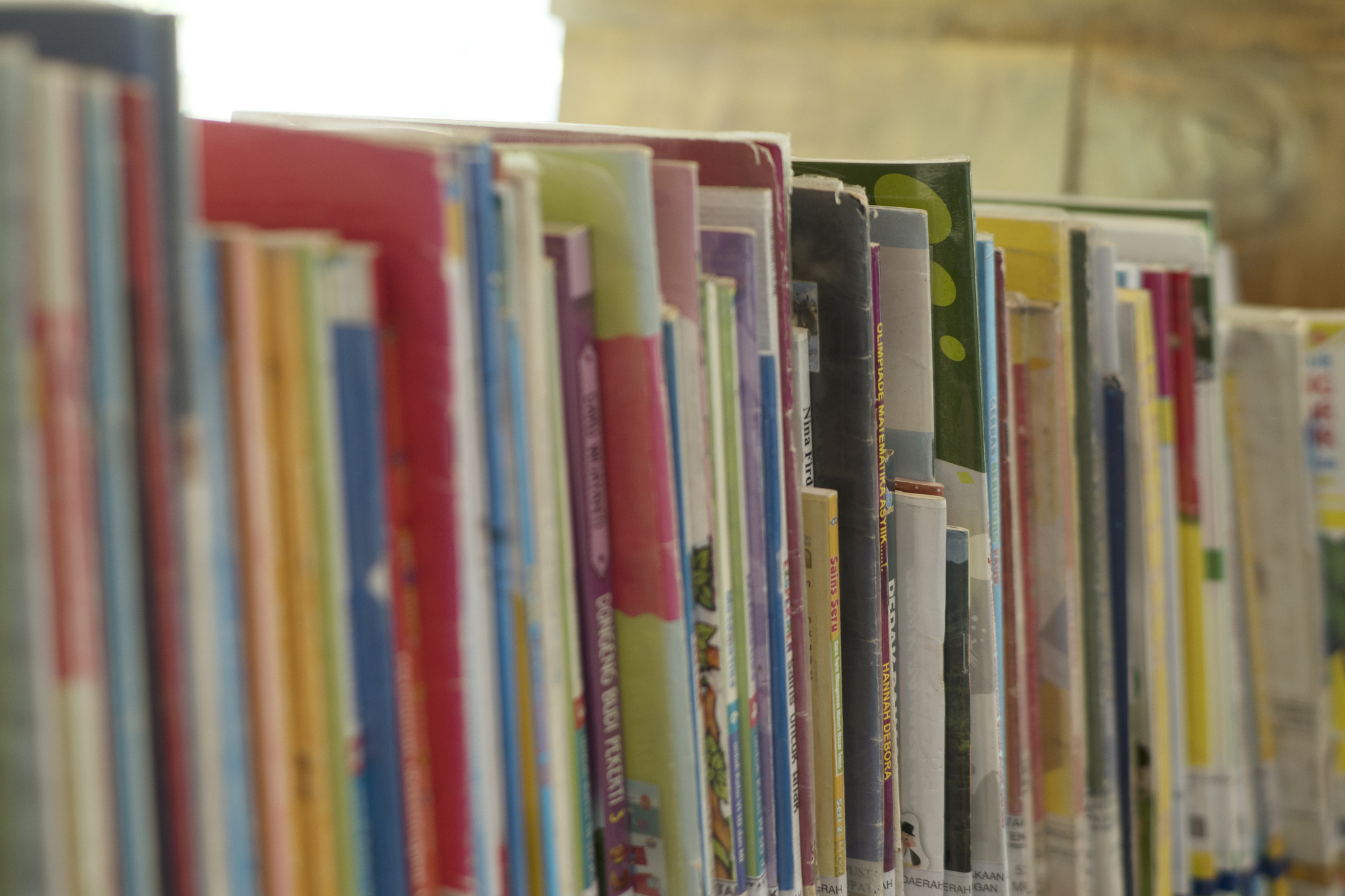 Livros coloridos organizados em prateleira de biblioteca escolar utilizados em atividades de leitura e alfabetização.