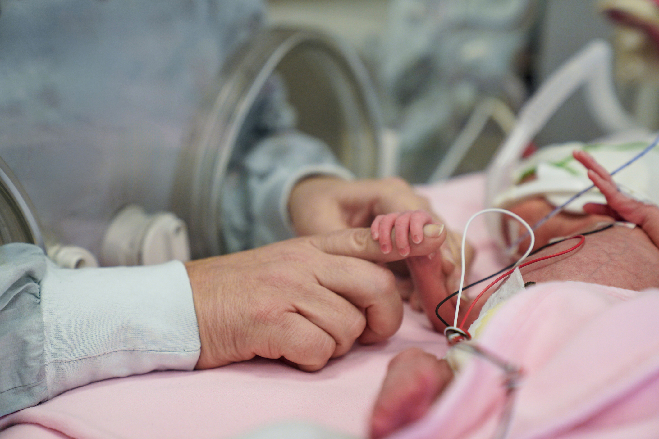 Mão de adulto segurando o dedinho de um recém-nascido prematuro na incubadora da UTI neonatal.