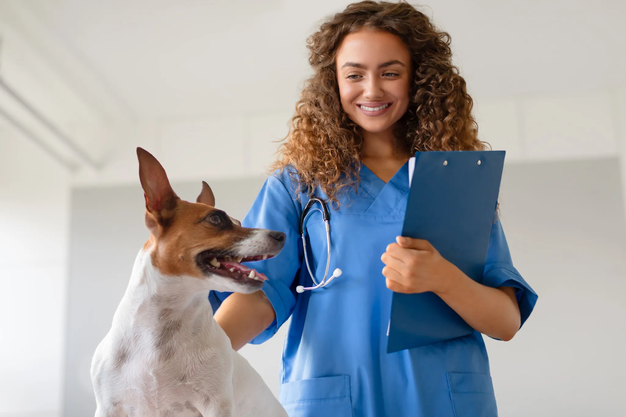 Veterinária profissional realizando consulta de rotina em um cão feliz em uma clínica veterinária moderna