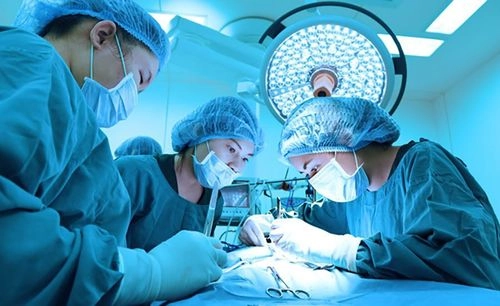Cirurgia Veterinária de Pequenos Animais