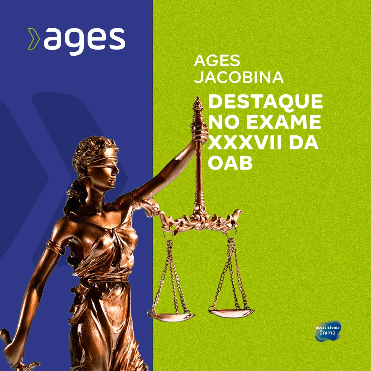 Ages Jacobina é destaque em 37º Exame da OAB