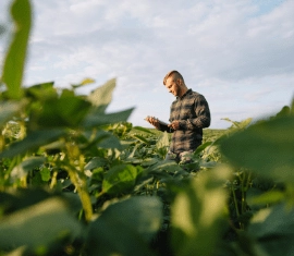 Campus Paripiranga recebe simpósio sobre questões agropecuárias