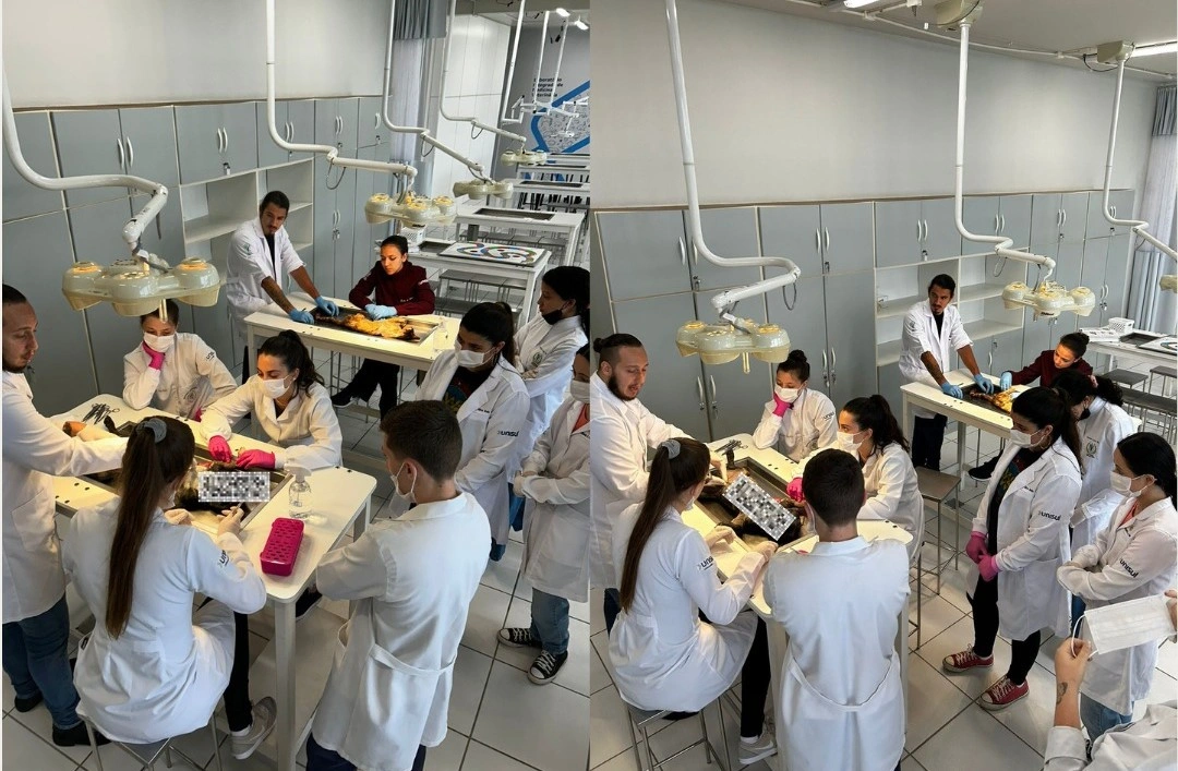 Encontro Liga de Anatomia Veterinária (LAVET)