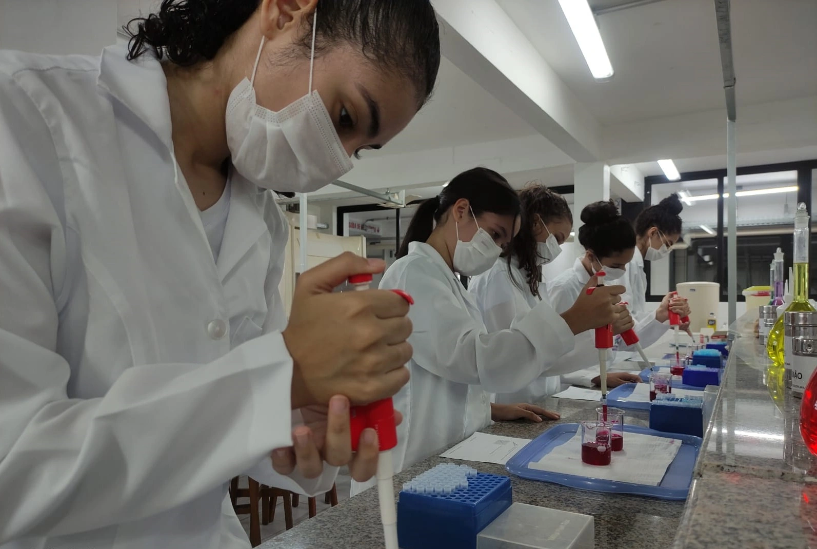 FUTURAS CIENTISTAS: Alunas da rede estadual têm pesquisa sobre alimentos sem glúten publicada em livro de segurança alimentar