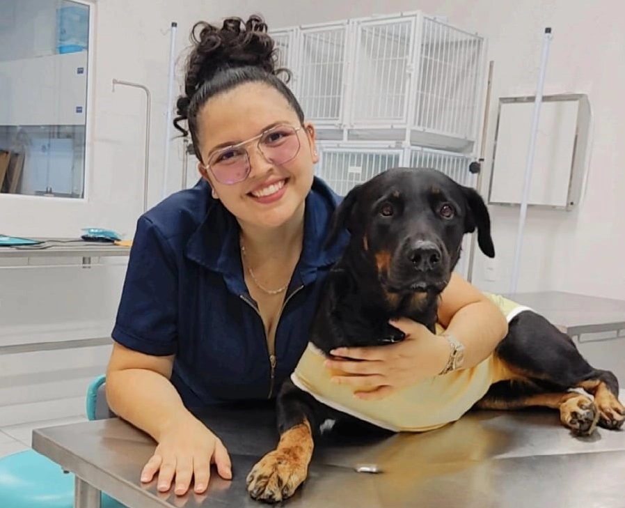 Novembro Azul: Pets também não estão livres do câncer de próstata
