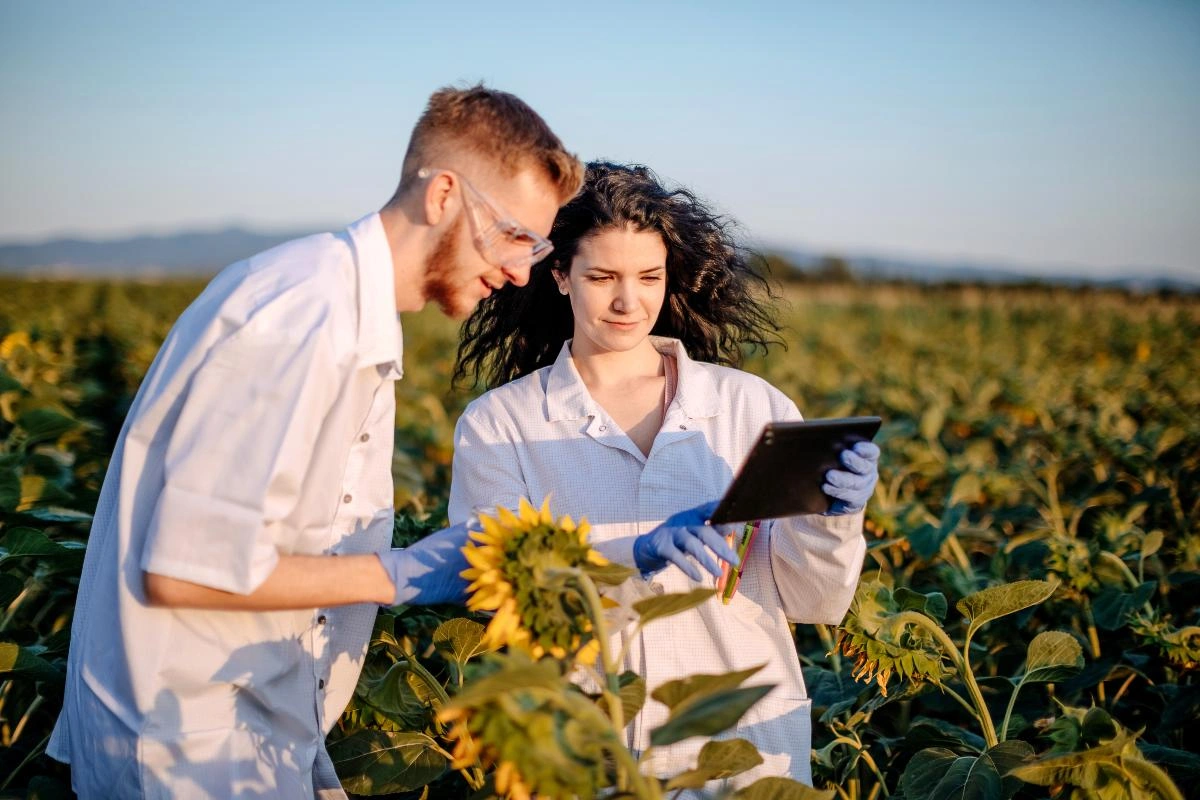 Descubra a nota de corte ideal para ingressar no curso de graduação em agronomia e iniciar sua carreira no setor agrícola