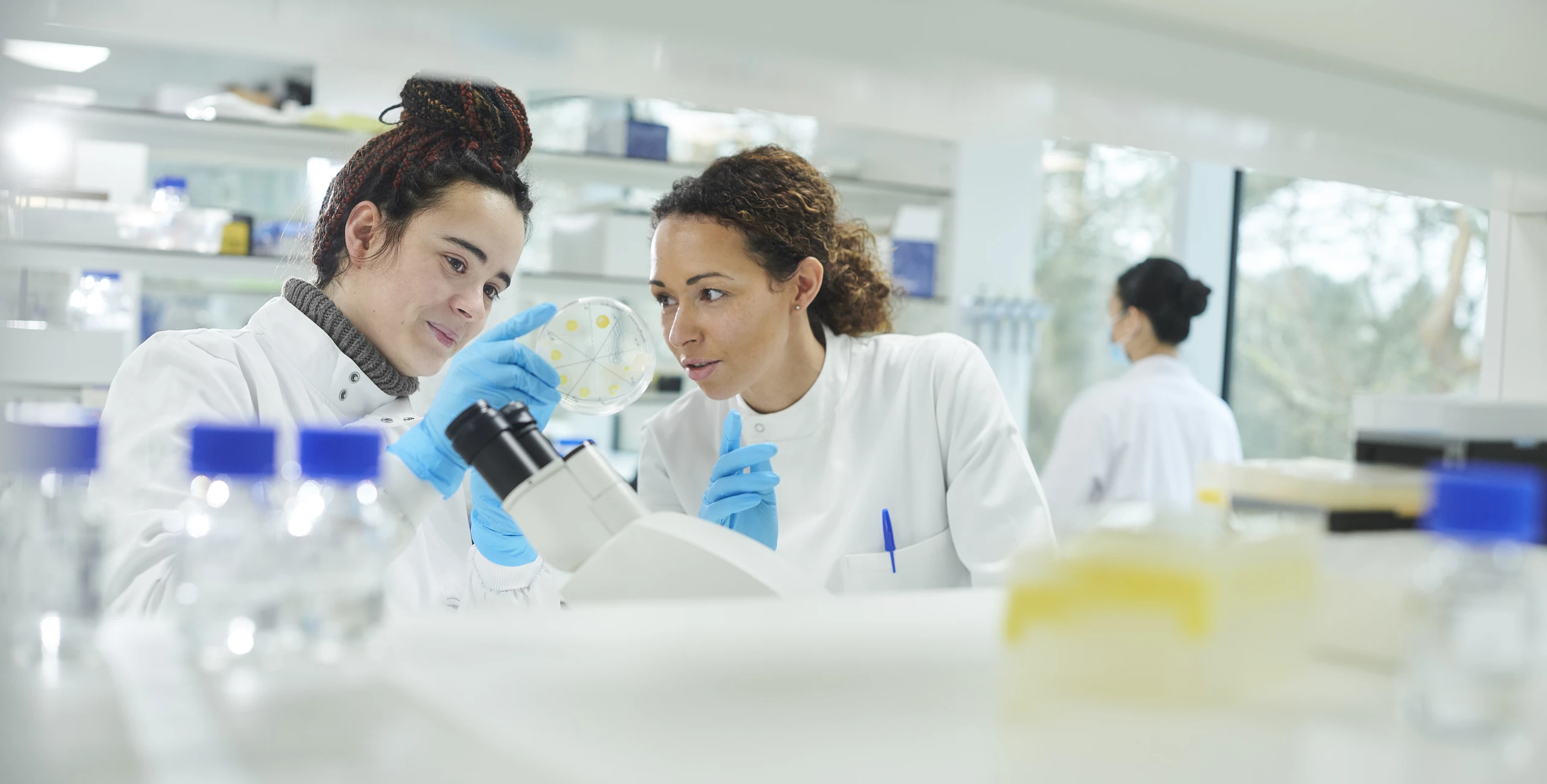 Duas pesquisadoras analisando uma placa de Petri em um laboratório de biomedicina