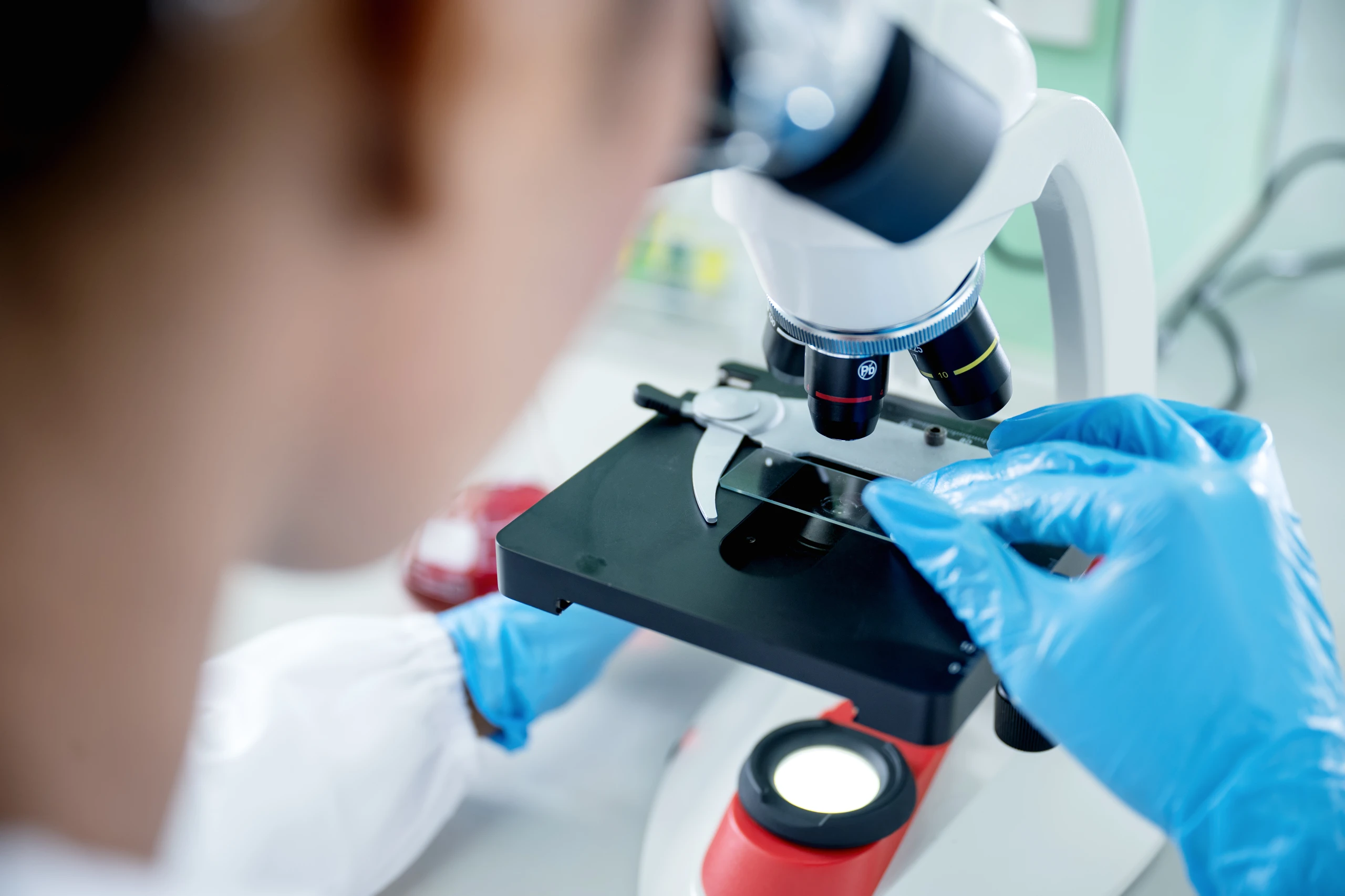 Biomédico realizando análise de lâmina em microscópio óptico no laboratório de hematologia