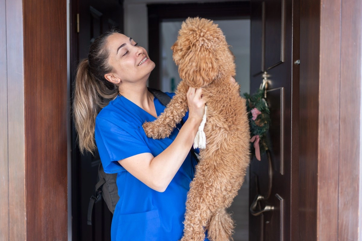 https://estaticos.animaeducacao.com.br/medias/20251015130225/pos-graduacao-medicina-veterinaria-cursos.webp Conheça os cursos de pós-graduação em medicina veterinária e avance na sua carreira cuidando de animais de estimação
