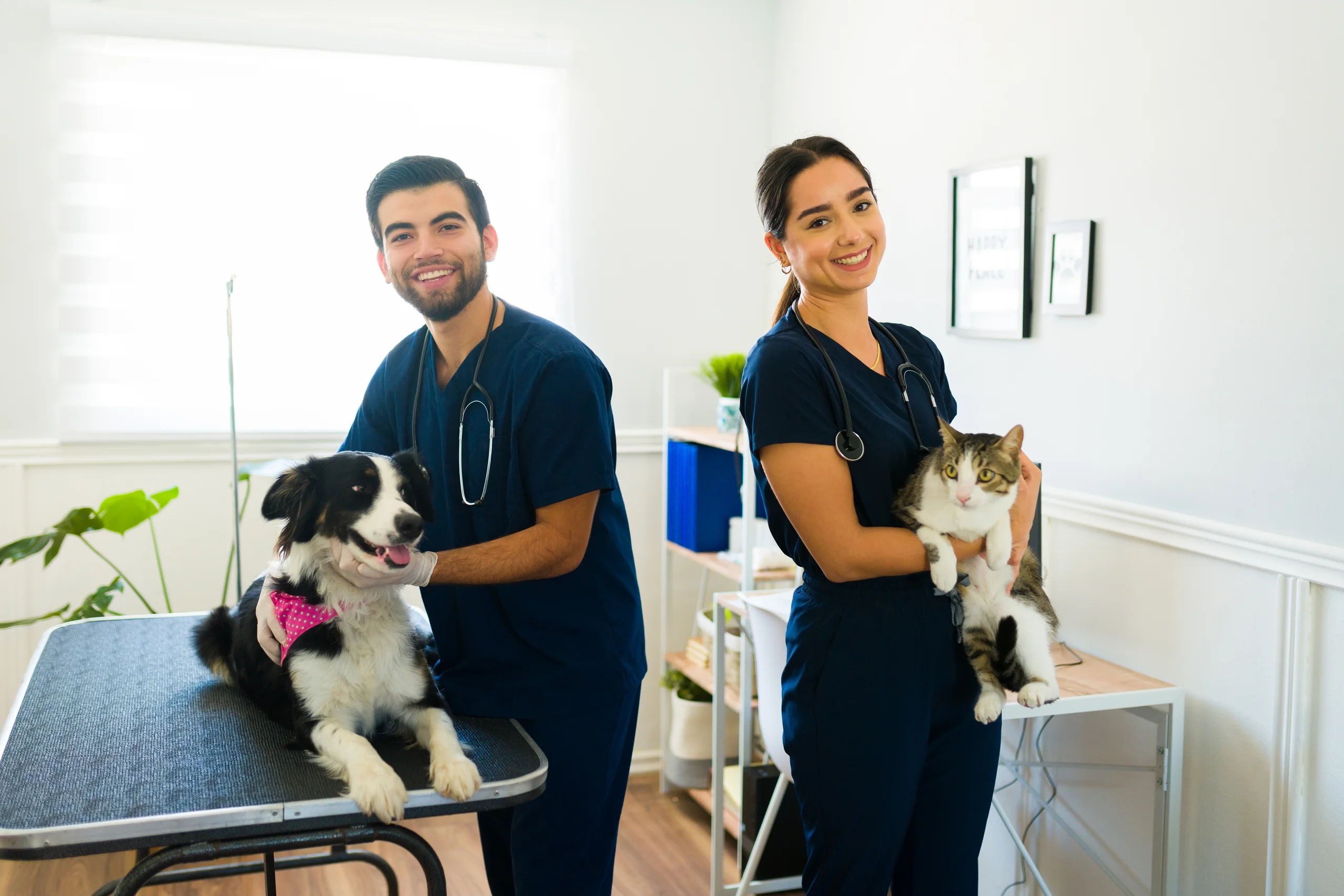 Dois veterinários sorridentes atendendo um cachorro e um gato em uma clínica veterinária