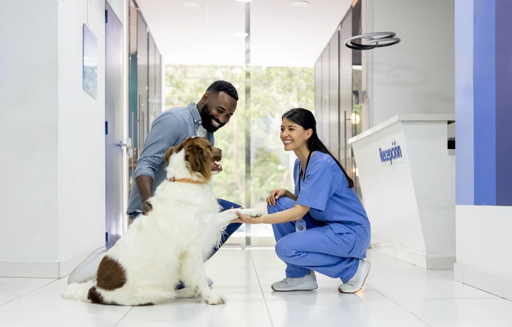 Melhor Faculdade de Medicina Veterinária em MG