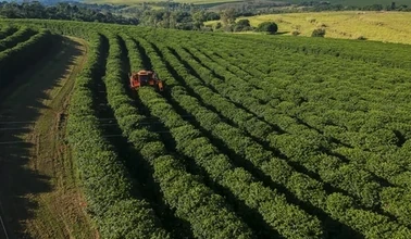 Gestão do Agronegócio