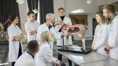 Medicina Veterinária