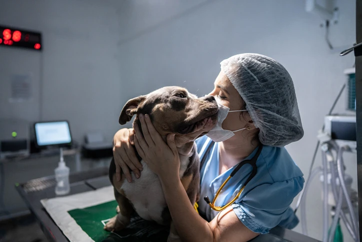 Veterinária carinhosa abraçando um cachorro em uma clínica veterinária