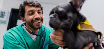 imagem do banner