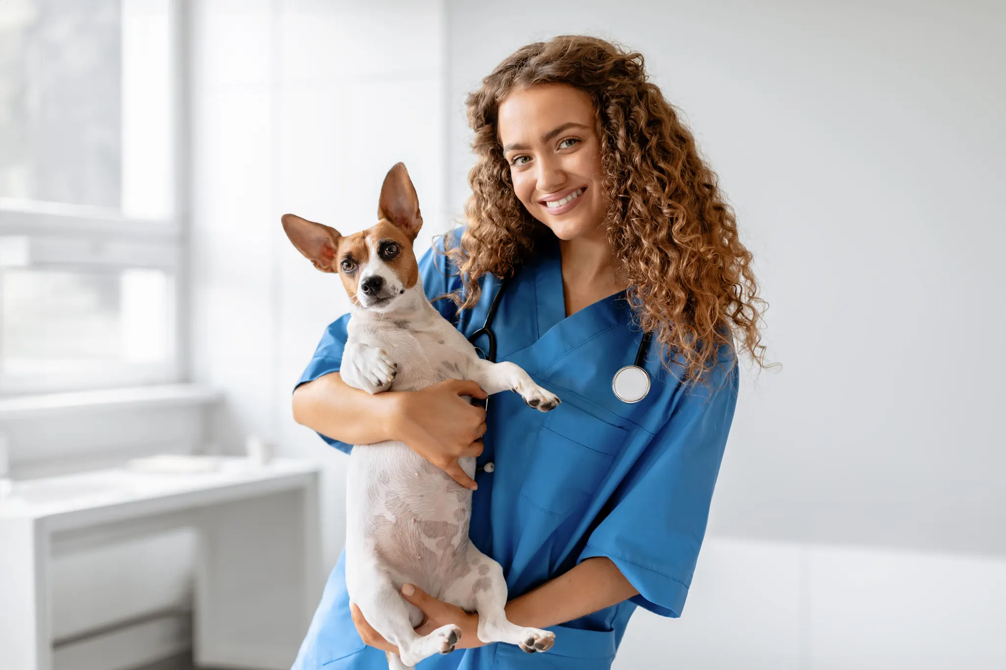 Veterinária profissional realizando atendimento clínico para cães em consultório especializado