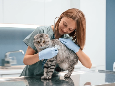 Estudante de veterinária segurando um gato
