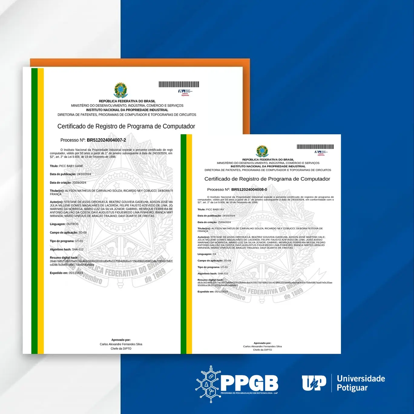Tecnologia desenvolvida no PPGB UnP aumenta segurança de recém-nascidos através de simulação digital de alta precisão