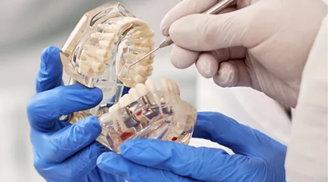 Dentista examinando modelo de arcada dentária com instrumentos odontológicos