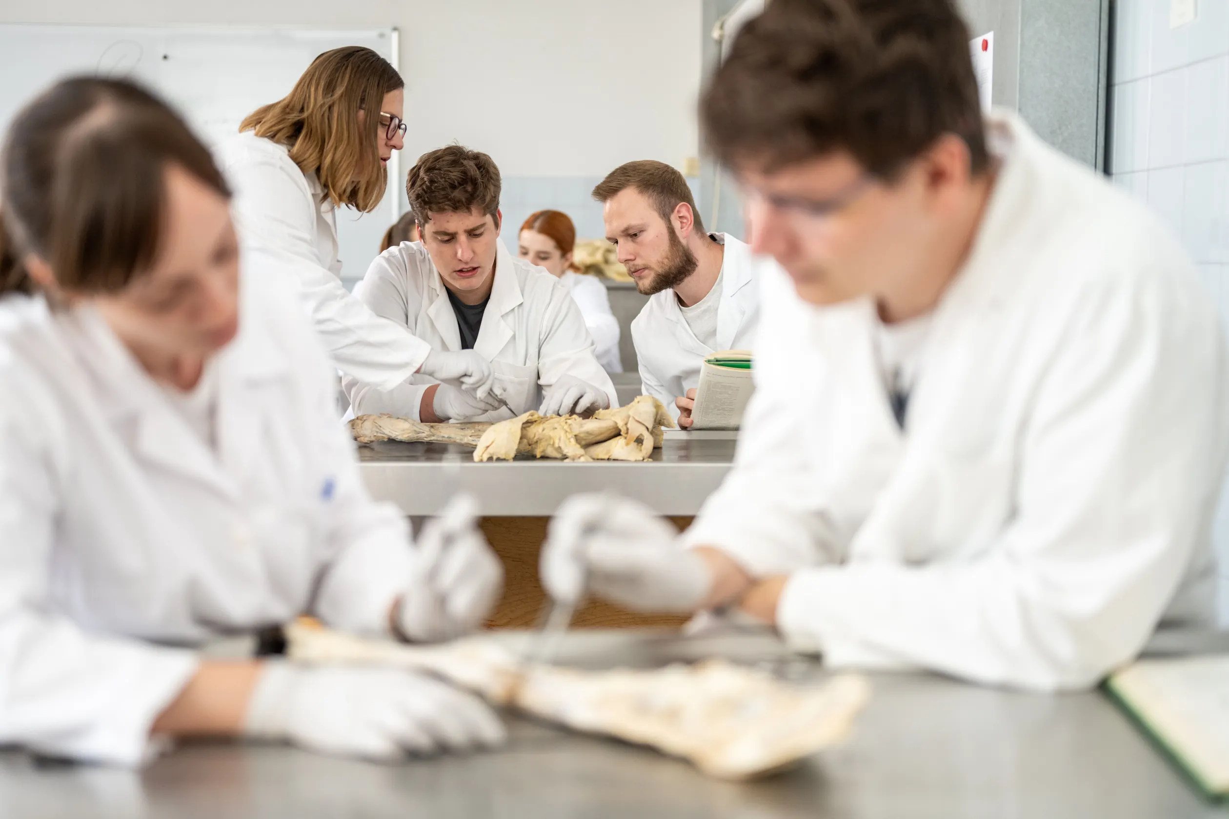 https://estaticos.animaeducacao.com.br/medias/ac164e21-b2f4-4e9f-9698-2ebe9b1c45ff.webp Estudantes de medicina aprendendo anatomia humana com dissecção prática em laboratório especializado da faculdade