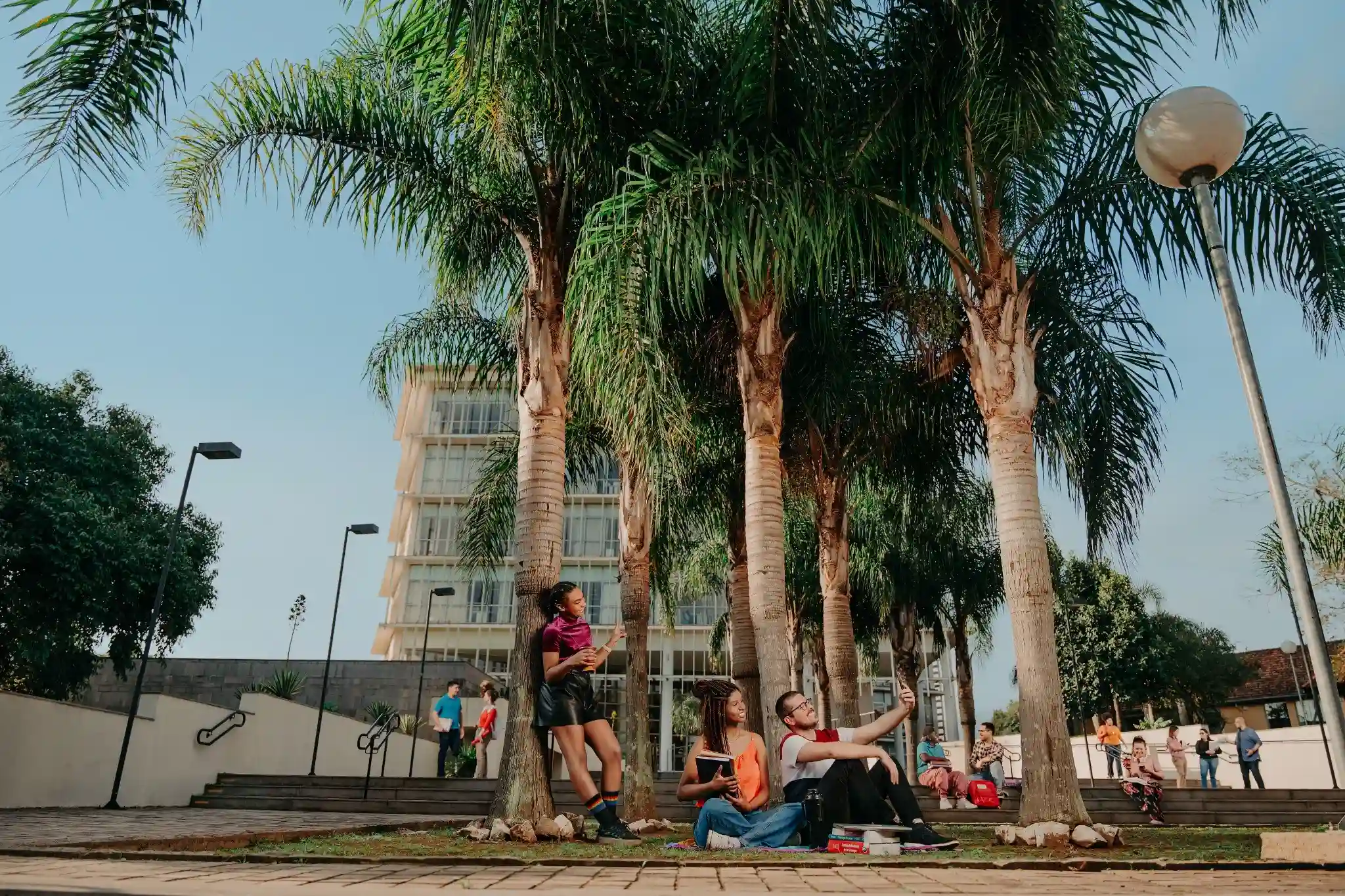 Estudantes universitários reunidos sob palmeiras em um campus ao ar livre