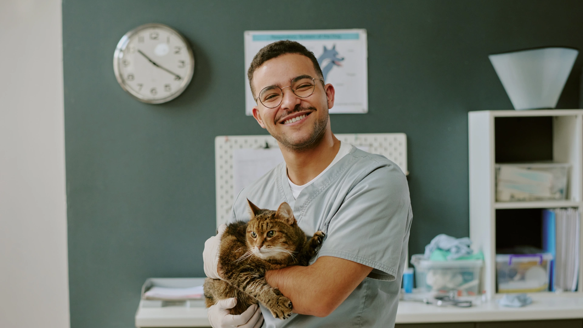 Veterinário profissional realizando atendimento clínico de um gato em uma clínica veterinária especializada